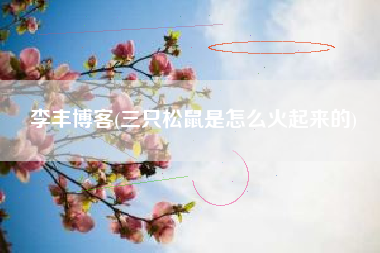 李丰博客(三只松鼠是怎么火起来的)