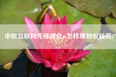 中欧互联网先锋混合a(怎样理财收益高)