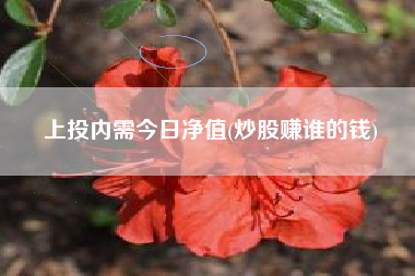 上投内需今日净值(炒股赚谁的钱)