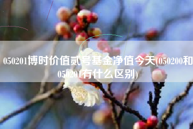050201博时价值贰号基金净值今天(050200和050201有什么区别)