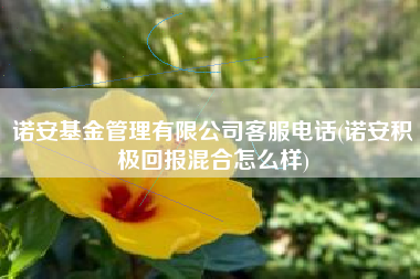 诺安基金管理有限公司客服电话(诺安积极回报混合怎么样)