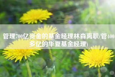 管理700亿资金的基金经理林森离职(管400多亿的华夏基金经理)