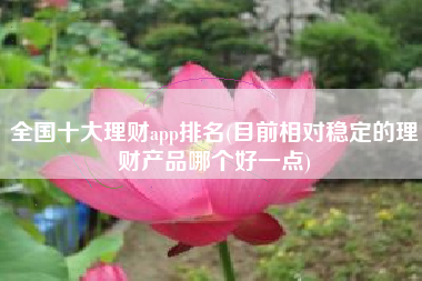 全国十大理财app排名(目前相对稳定的理财产品哪个好一点)