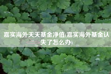 嘉实海外天天基金净值(嘉实海外基金认失了怎么办)