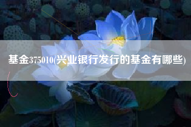 基金375010(兴业银行发行的基金有哪些)