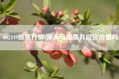 002449股票行情(深天马股票有投资价值吗)