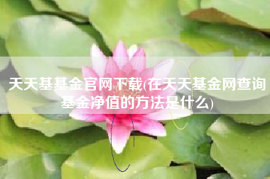 天天基基金官网下载(在天天基金网查询基金净值的方法是什么)