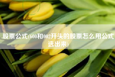 股票公式(600和002开头的股票怎么用公式选出来)