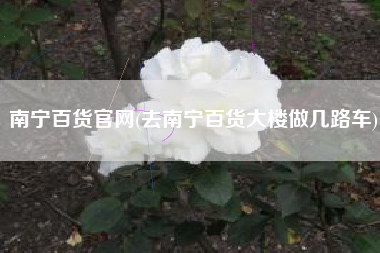 南宁百货官网(去南宁百货大楼做几路车)