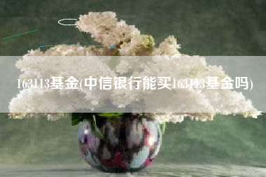 163113基金(中信银行能买163113基金吗)
