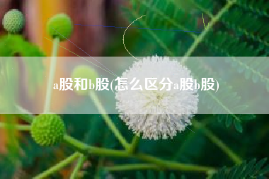 a股和b股(怎么区分a股b股)