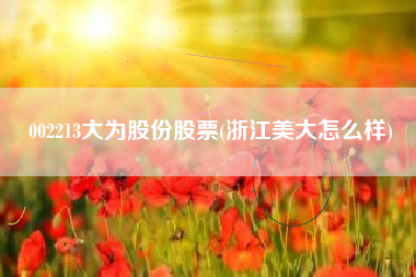 002213大为股份股票(浙江美大怎么样)