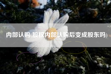 内部认购(股权内部认购后变成股东吗)