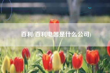 百利(百利电器是什么公司)