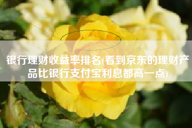 银行理财收益率排名(看到京东的理财产品比银行支付宝利息都高一点)