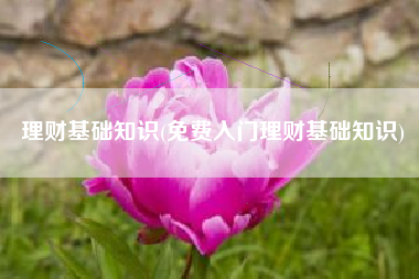 理财基础知识(免费入门理财基础知识)