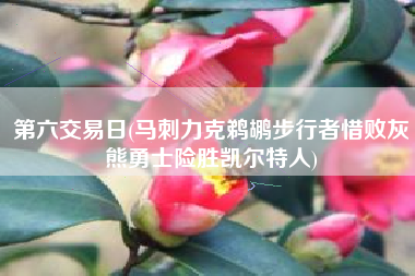 第六交易日(马刺力克鹈鹕步行者惜败灰熊勇士险胜凯尔特人)