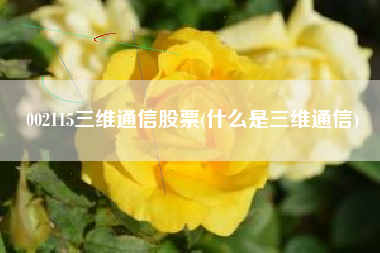 002115三维通信股票(什么是三维通信)