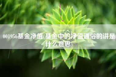 001956基金净值(基金中的净值通俗的讲是什么意思)