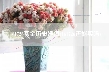 161726基金历史净值(161726还能买吗)