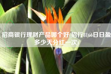 招商银行理财产品哪个好(招行8166日日盈多少天分红一次)