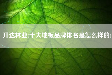 升达林业(十大地板品牌排名是怎么样的)