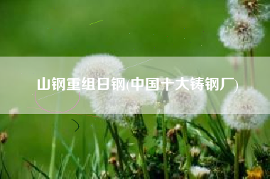 山钢重组日钢(中国十大铸钢厂)