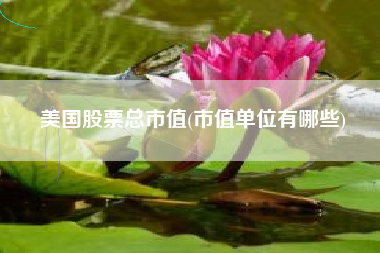 美国股票总市值(市值单位有哪些)
