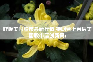 昨晚美国股市最新行情(特朗普上台后美国股市屡创新高)