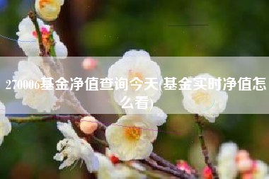 270006基金净值查询今天(基金实时净值怎么看)