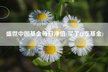 盛世中国基金每日净值(买了12支基金)