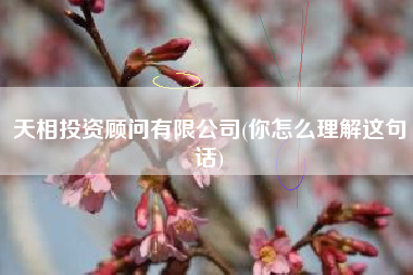 天相投资顾问有限公司(你怎么理解这句话)