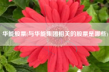 华能股票(与华能集团相关的股票是哪些)