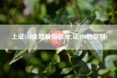 上证180金融股指数(上证180的区别)