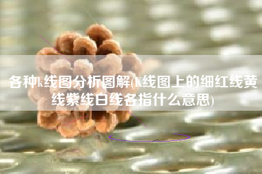 各种k线图分析图解(K线图上的细红线黄线紫线白线各指什么意思)