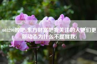 603290股吧(东方财富吧我关注的人他们更新动态为什么不提醒我)