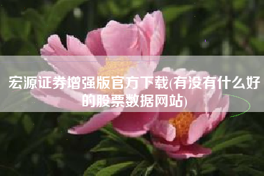 宏源证券增强版官方下载(有没有什么好的股票数据网站)