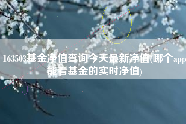 163503基金净值查询今天最新净值(哪个app能看基金的实时净值)
