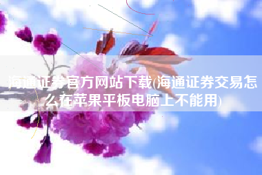 海通证券官方网站下载(海通证券交易怎么在苹果平板电脑上不能用)