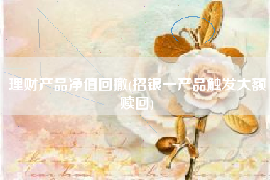 理财产品净值回撤(招银一产品触发大额赎回)