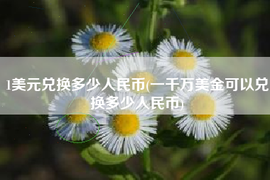 1美元兑换多少人民币(一千万美金可以兑换多少人民币)