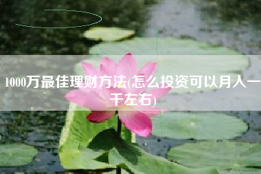 1000万最佳理财方法(怎么投资可以月入一千左右)