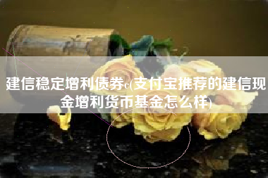 建信稳定增利债券c(支付宝推荐的建信现金增利货币基金怎么样)