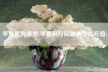 华夏聚利债券(华夏银行记账卡怎么充值)