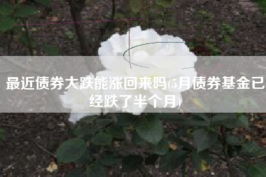 最近债券大跌能涨回来吗(5月债券基金已经跌了半个月)
