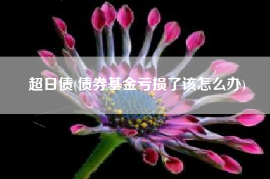 超日债(债券基金亏损了该怎么办)