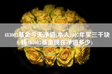 483003基金今天净值(本人2007年买三千块钱483003基金现在净值多少)