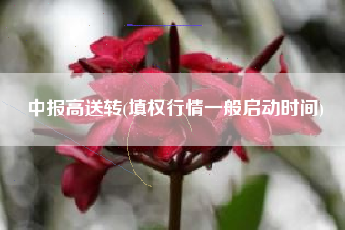 中报高送转(填权行情一般启动时间)