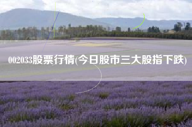 002033股票行情(今日股市三大股指下跌)