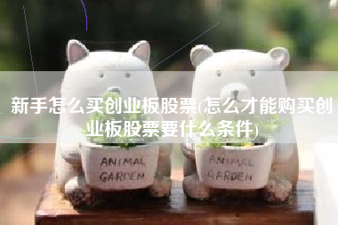 新手怎么买创业板股票(怎么才能购买创业板股票要什么条件)